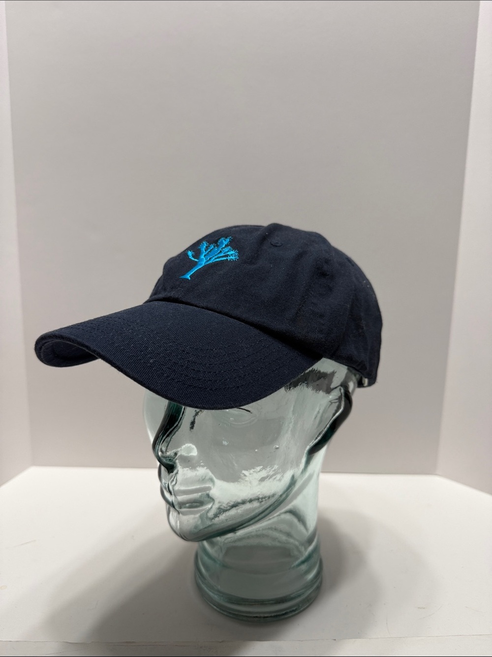 Navy Cotton Cap with Blue Logo Patch